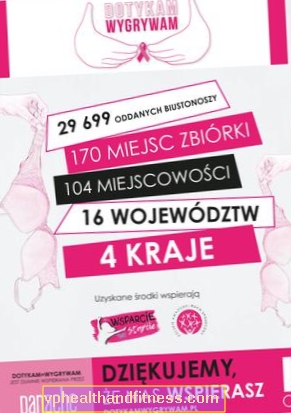Octava edición de la campaña de promoción de la prevención del cáncer de mama: se recogieron 29 699 sujetadores.