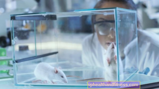 प्रोटीन चूहों में कैंसर के विकास को रोक सकता है। एक आशाजनक खोज
