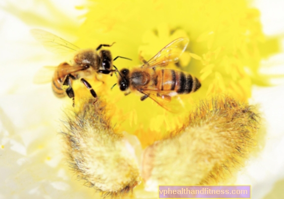 Mysteriet til de forsvinnende biene