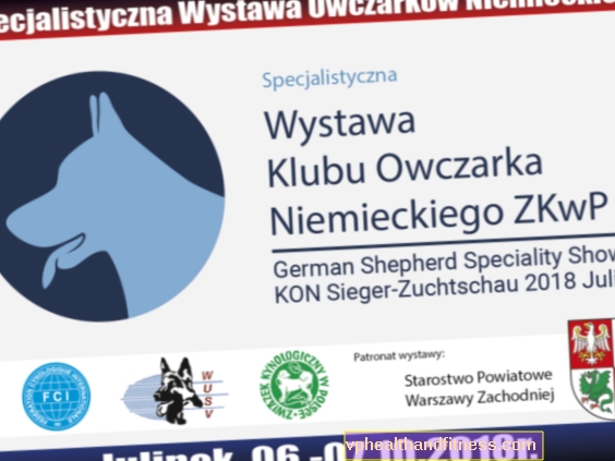 ¡La exposición del German Shepherd Dog Club ZKwP este fin de semana en Julinek!