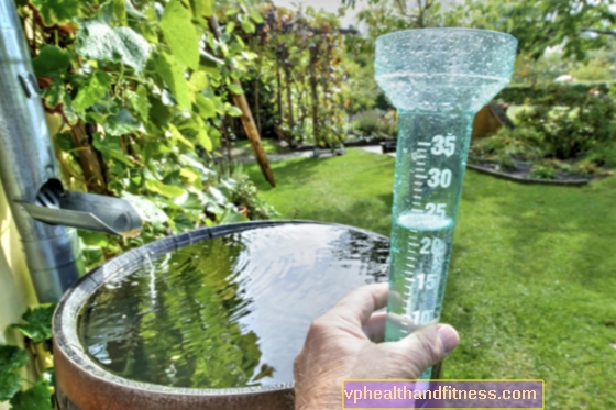 ¡Recoge agua de lluvia, dale agua a las plantas!