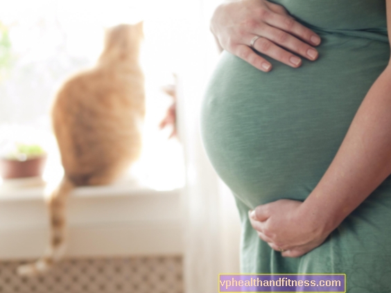 Entä kissa tai koira, kun olet raskaana? Lemmikkieläimet ja lapsi
