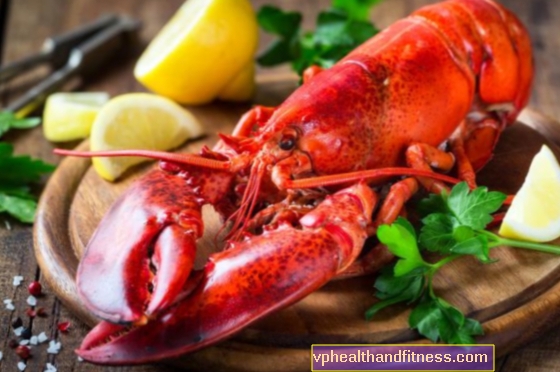 Lobster - sifat nutrisi. Bagaimana Cara Makan Lobster?