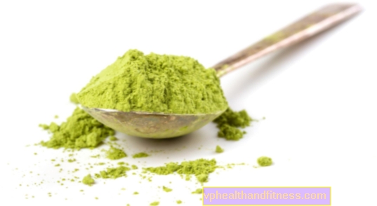 Matcha (té verde en polvo) - propiedades