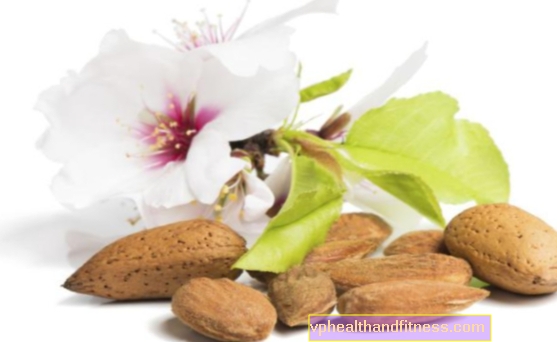 Almendras: propiedades y valor nutricional de las almendras