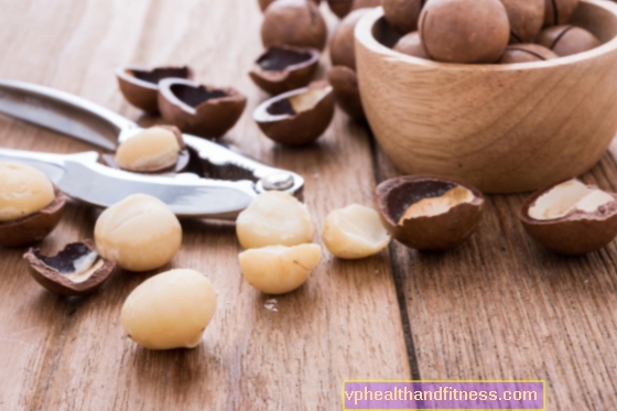 Nueces de macadamia (macadamia) - propiedades, valores nutricionales y aplicación