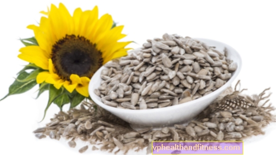 Semillas de girasol: valor nutricional y propiedades curativas