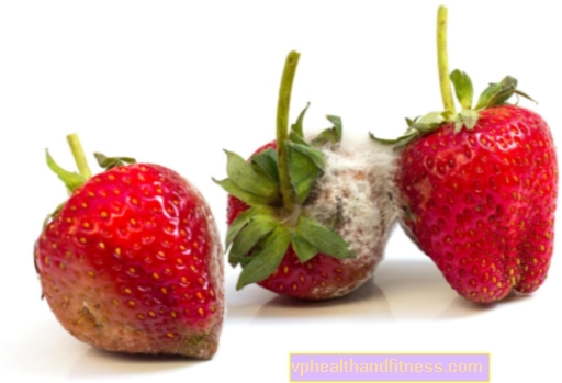 Γκρι μούχλα στις φράουλες. Πώς να το αποφύγετε; Τρόποι αποθήκευσης φρούτων