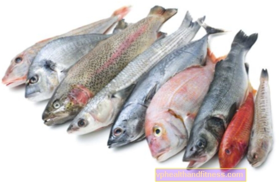Toxinas en el pescado: compruebe qué peces no son venenosos