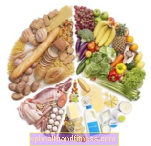 Alimentación saludable: el plato de la salud en lugar de la pirámide alimenticia