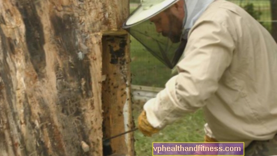Honey Hunters: Saving the Bees - Special Earth Day visar