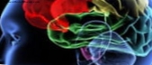 Το τεράστιο «τσιπ»: καταφέρνει να καταγράφει τη δραστηριότητα των νευρώνων και απελευθερώνει φάρμακα στον εγκέφαλο