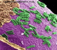 Микроби у цревима помажу да се утврди ризик од тумора