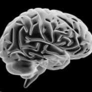 Мозъчен пейсмейкър, нов подход срещу този на Алцхаймер