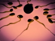 Kokie veiksniai neigiamai veikia spermos kokybę