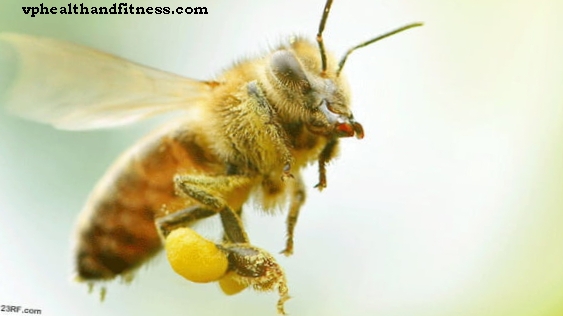 Bee-gift mod Parkinson