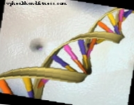 Slikts DNS bojājumu labojums, amiotrofiskās laterālās sklerozes cēlonis?