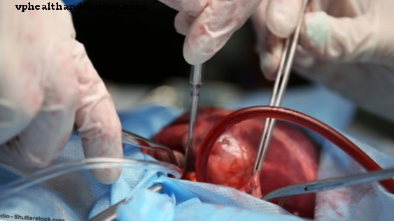 3D teknolojisi ile 24 saatte organlar