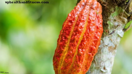 Kakao, ny allierad mot diabetes