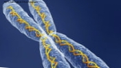 Bir çalışmada, yaygın kanser riskini artıran 80 'genetik yazım hatası' ortaya çıkıyor