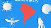 O vírus zika invade o sistema nervoso