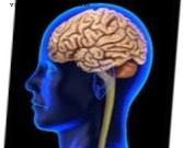 Alzheimer'ın araştırmalarını ilerletmek için beyin bağışını artırmak şart