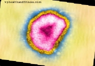 Uzziniet, kas ir H7N9 vīruss?