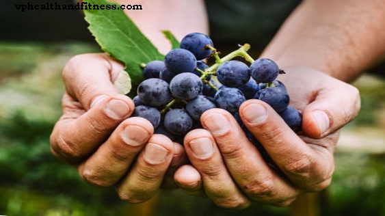 Виноград - плід, який бореться з раком