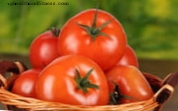 Tomat hjelper til med å forhindre prostatakreft
