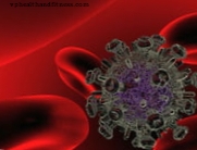 O HIV não está no sangue, mas nos tecidos linfóides