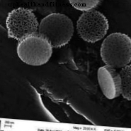 Nanopartikel silikon meningkatkan keberkesanan vaksin kanser