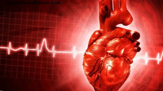 वे स्टेम सेल से हृदय की मांसपेशियों का निर्माण करते हैं