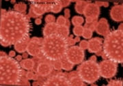 Rabiesvirus ska behandlas före de första symtomen