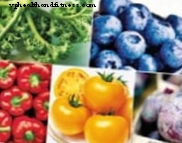 Једење око 570 грама воћа и поврћа дневно смањује ризик од смртности за 10%