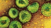 Bekreft funnet av et nytt virus som ligner på SARS