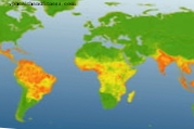 Ensimmäinen maailmankartta denguetaudin esiintyvyydestä