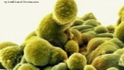 التصحيح الهرموني الذي يعالج سرطان البروستاتا