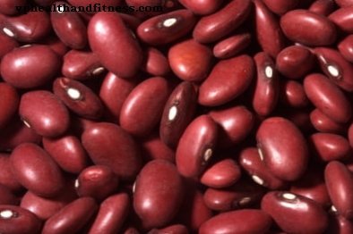 Röda bönor: hälsofördelar