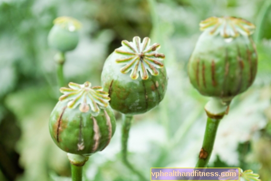 Opiumas - narkotinės medžiagos savybės, veikimas ir istorija