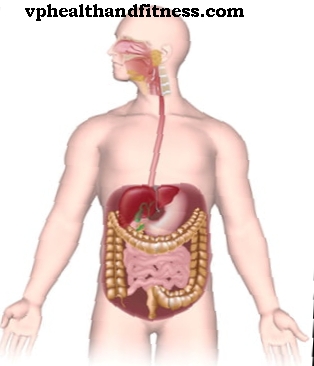 Анатомия и функции на храносмилателната система