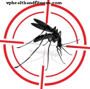Zika příznaky