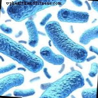 Bruceloze - atbildīgas baktērijas un simptomi