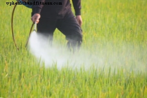 Пестициди: въздействия върху здравето и превенция