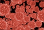 Gripas A H1N1: kas turėtų vartoti Tamiflu?