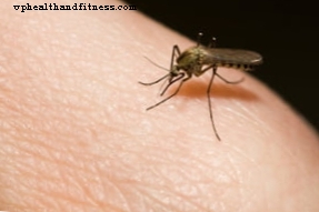 Вирусът чикунгуня и тигърният комар