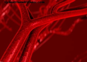 Co je ateroskleróza?