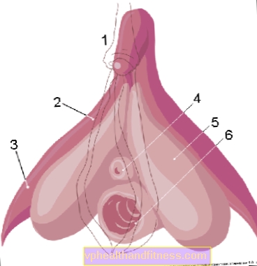 Sexo: como acariciar adecuadamente el clítoris