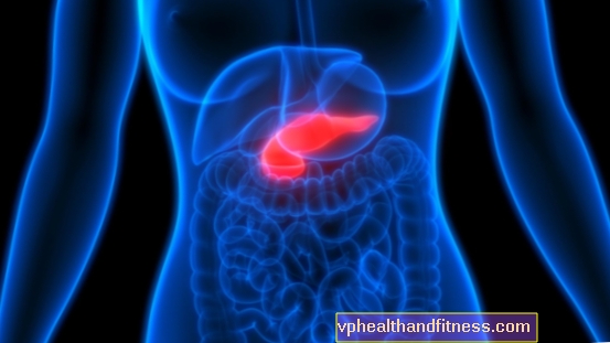 ¿Qué sabes sobre el páncreas? 