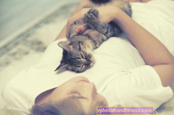 Spite s svojo mačko v postelji? Je spanje z mačko zdravo?