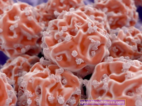 Стволови клетки от еленови рога на MIC-1
